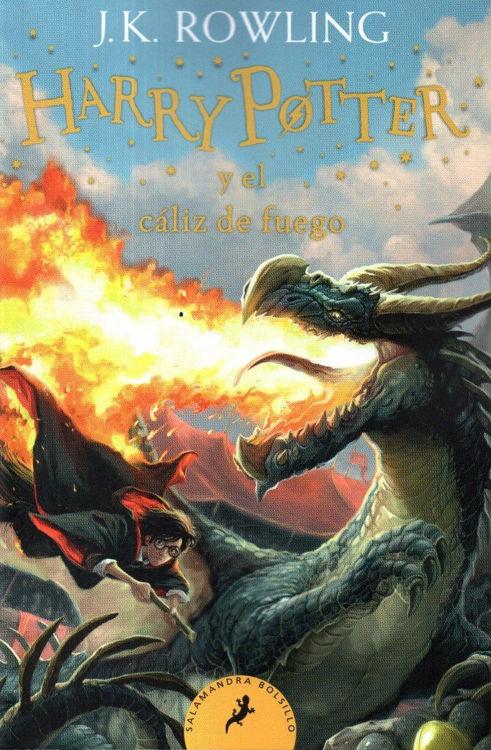 Imagen de Harry Potter y el Cáliz De Fuego N° 4 (Salamandra Bolsillo) / J. K. Rowling