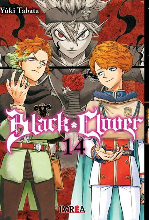 Imagen de Black Clover Tomo 14 / Ivrea