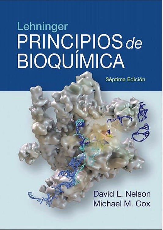 Imagen de Principios De Bioquímica 7ª Edición Lehninger