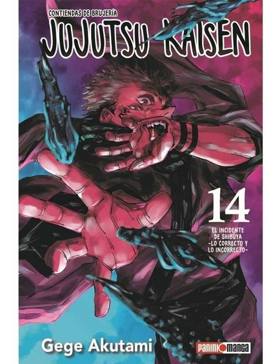 Imagen de Jujutsu Kaisen #14 - Gege Akutami / Panini