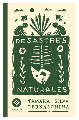 Imagen de Desastres naturales / Tamara Silva