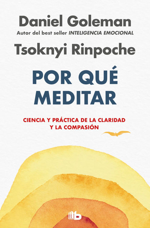 Imagen de Por qué meditar / Daniel Goleman, Tsoknyi Rinpoche