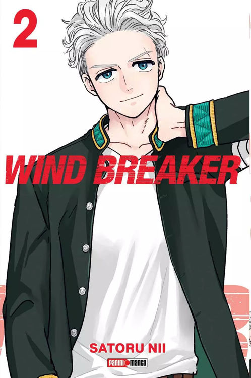 Imagen de WIND BREAKER VOL. 02 / SATORU NII