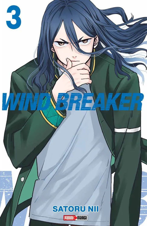 Imagen de WIND BREAKER VOL. 03 / SATORU NII