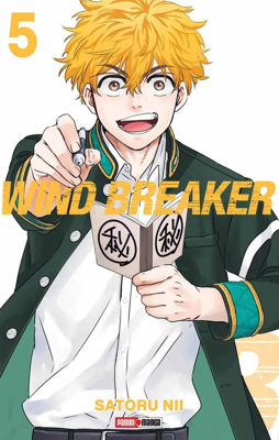 Imagen de WIND BREAKER VOL. 05 / SATORU NII