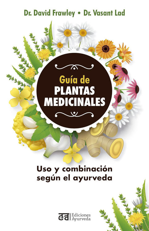 Imagen de GUÍA DE LAS PLANTAS MEDICINALES / DAVID FRAWLEY