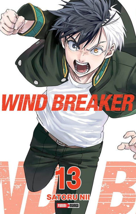 Imagen de WIND BREAKER VOL. 13 / SATORU NII