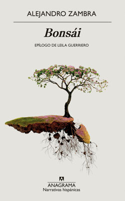 Imagen de BONSÁI / ALEJANDRO ZAMBRA