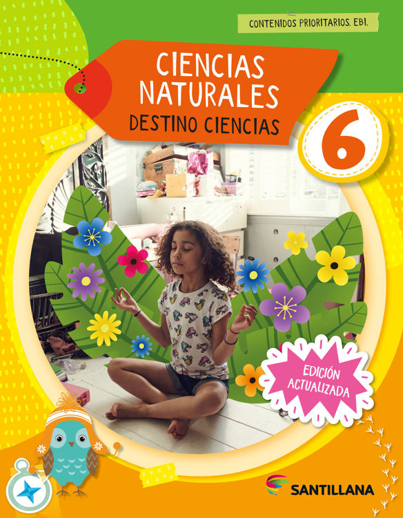Imagen de HISTORIA, GEOGRAFIA & CIENCIAS NATURALES 6 - DESTINO CIENCIAS / SANTILLANA