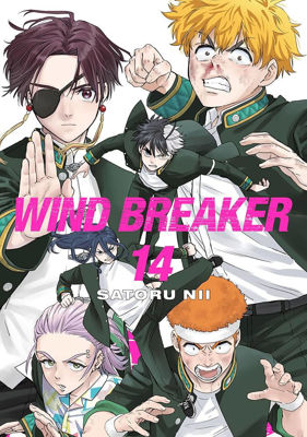 Imagen de WIND BREAKER VOL. 14 / SATORU NII