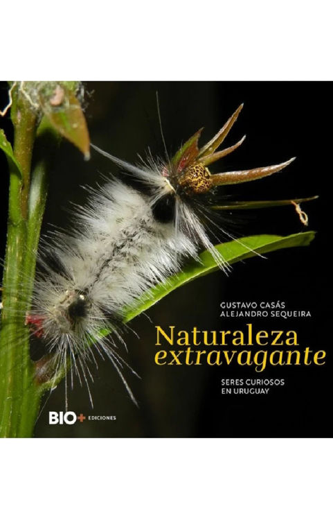 Imagen de NATURALEZA EXTRAVAGANTE /  GUSTAVO CASAS, ALEJANDRO SEQUEIRA