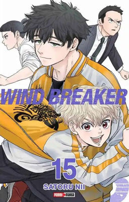 Imagen de WIND BREAKER VOL. 15 / SATORU NII