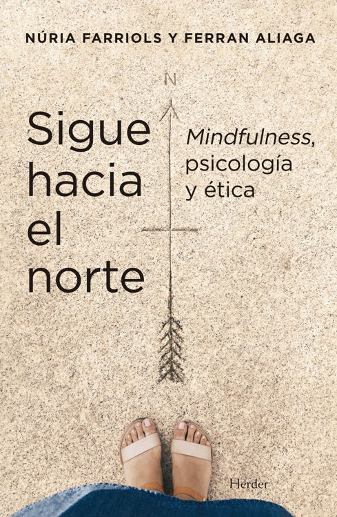 Imagen de SIGUE HACIA EL NORTE / NURIA FARRIOLS, FERRAN ALIAGA