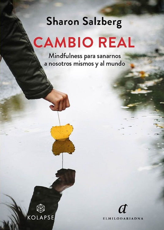 Imagen de CAMBIO REAL / SHARON SALZBERG