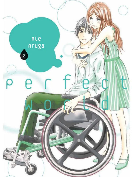 Imagen de PERFECT WORLD VOL.  2 - AIE ARUGA / PANINI MANGA