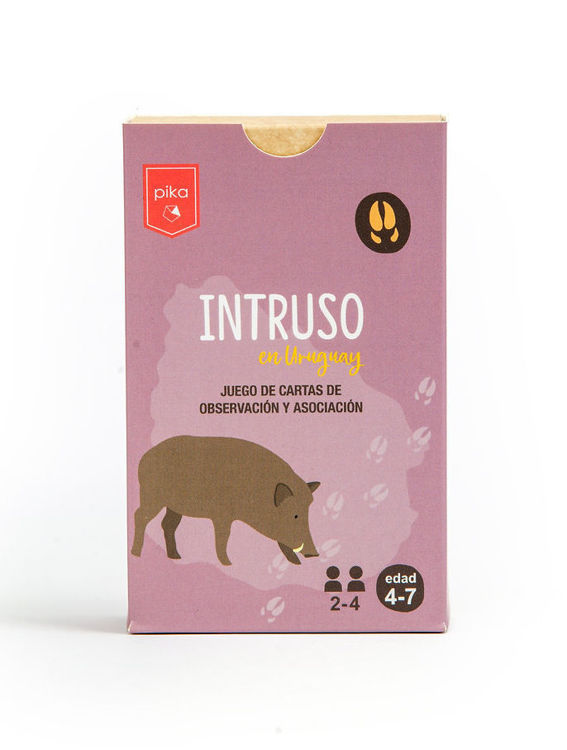 Imagen de INTRUSO EN URUGUAY - JUEGO DE CARTAS DE OBSERVACIÓN Y ASOCIACIÓN / PIKA