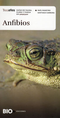 Imagen de ANFIBIOS / RAÚL MANEYRO