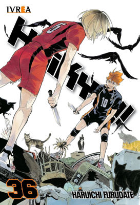 Imagen de Haikyu!! 36 - Ivrea