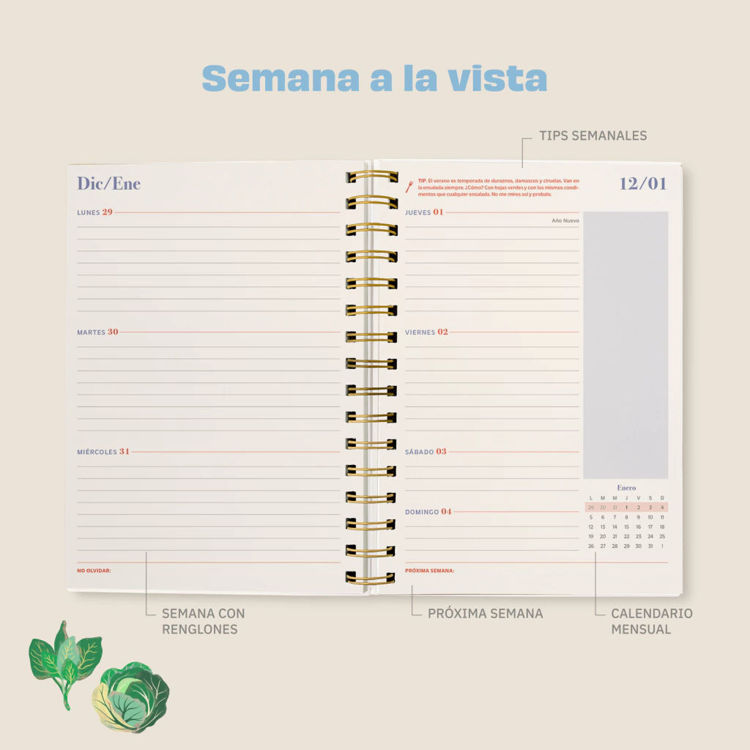 Imagen de AGENDA 2026: PAULINA COCINA BOLSA DE COMPRAS (SEMANAL)