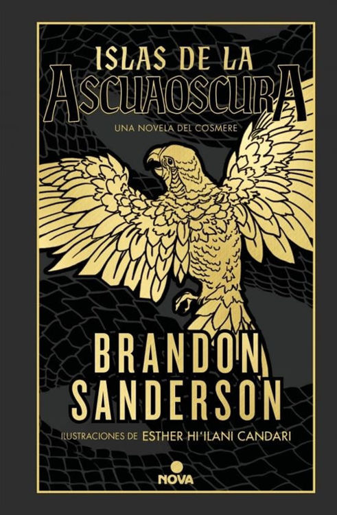 Imagen de ISLAS DE LA ASCUAOSCURA / BRANDON SANDERSON