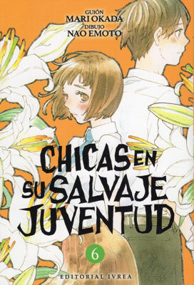 Imagen de CHICAS EN SU SALVAJE JUVENTUD VOL. 06 / IVREA