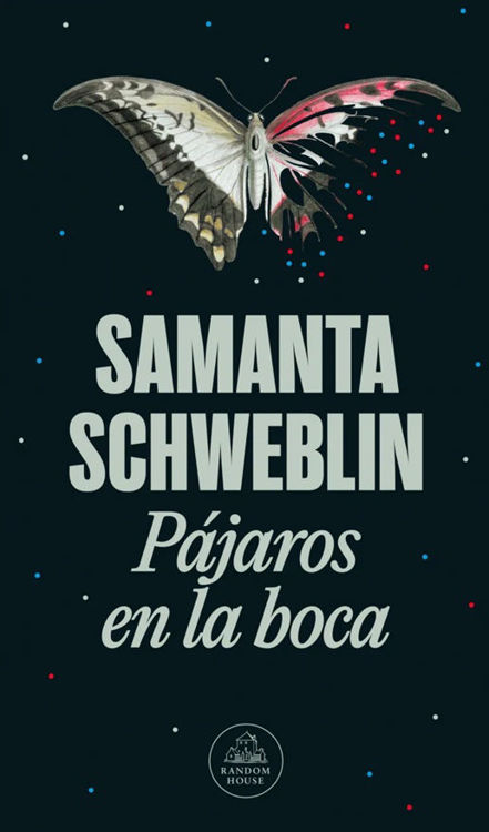 Imagen de PÁJAROS EN LA BOCA / SAMANTA SCHWEBLIN