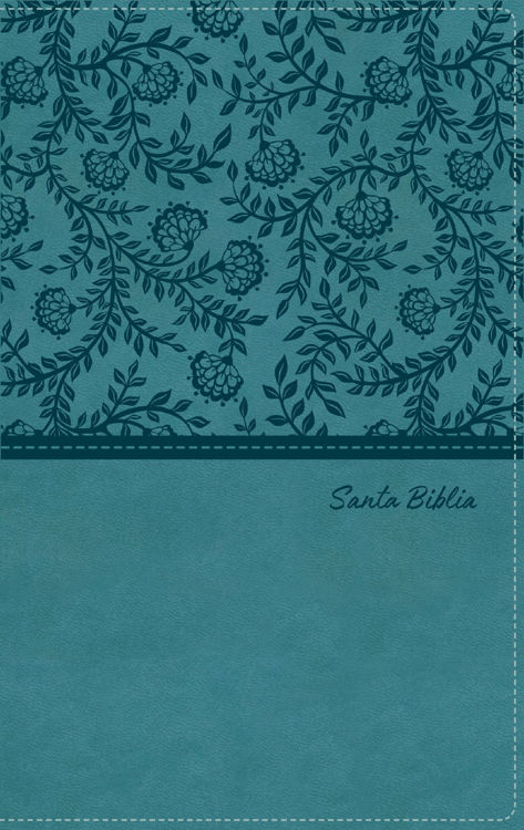 Imagen de BIBLIA TIERRA SANTA VERDE (REINA VALERA 1960) / EDITORIAL VIDA