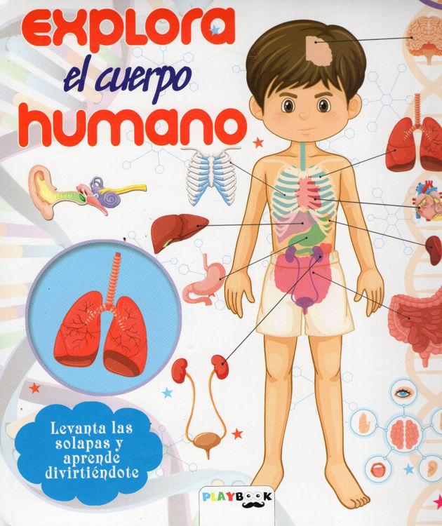 Imagen de EXPLORA EL CUERPO HUMANO / PLAYBOOK