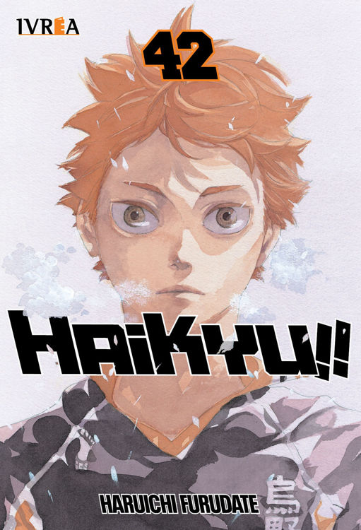 Imagen de Haikyu!! 42 - Ivrea