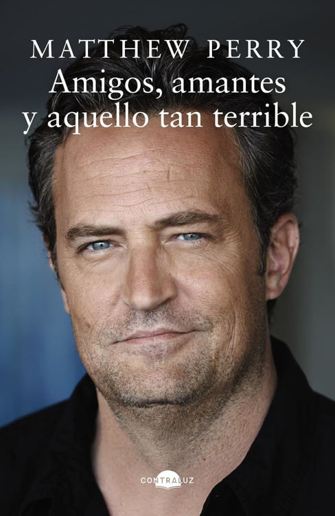 Imagen de AMIGOS, AMANTES Y AQUELLO TAN TERRIBLE / MATTHEW PERRY