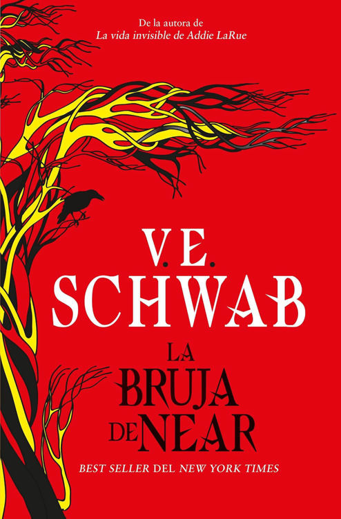 Imagen de LA BRUJA DE NEAR / V.E. SCHWAB
