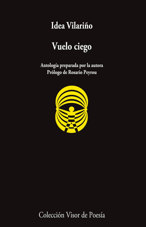 Imagen de VUELO CIEGO / IDEA VILARIÑO