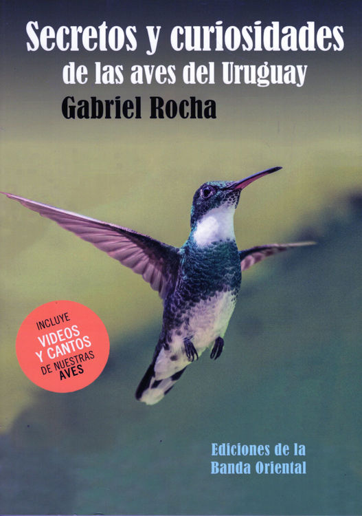 Imagen de SECRETOS Y CURIOSIDADES DE LAS AVES DEL URUGUAY / GABRIEL ROCHA