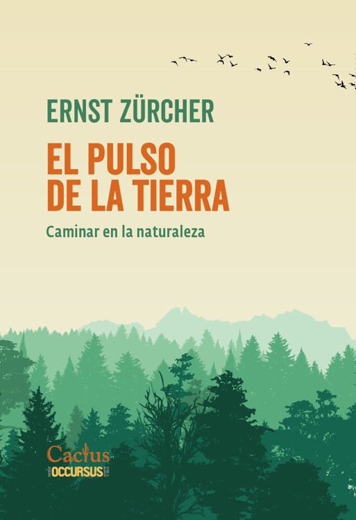 Imagen de EL PULSO DE LA TIERRA / ERNST ZURCHER