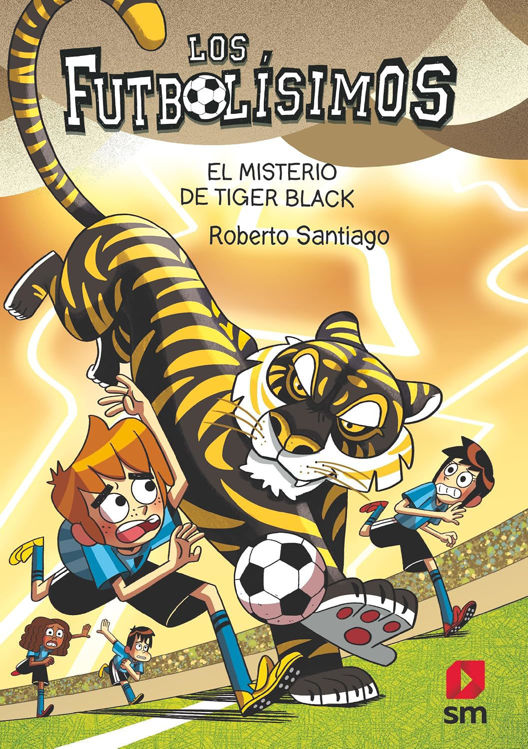 Imagen de LOS FUTBOLÍSIMOS 26: EL MISTERIO DE TIGER BLACK / ROBERTO SANTIAGO