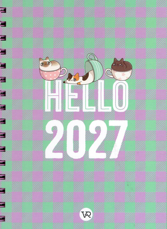 Imagen de AGENDA 2027 NEWS CUADRILLE (SEMANAL) / VR